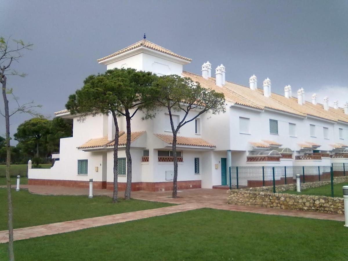 Mar De Arena, Mar De Pinos